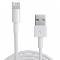 Apple USB Lighting Cable + Cargador Accesorios Celular